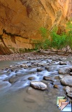 Virgin Narrows